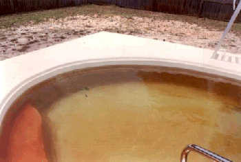 Pink algae is generally linked to fungus building up beneath the coating.