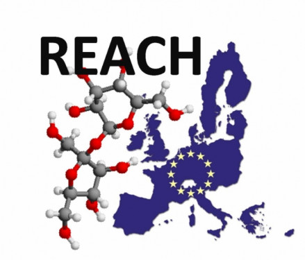 Reach-carte-UE