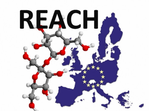 Reach-carte-UE